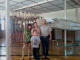 /album/fotogaleria/ballena-jpg/